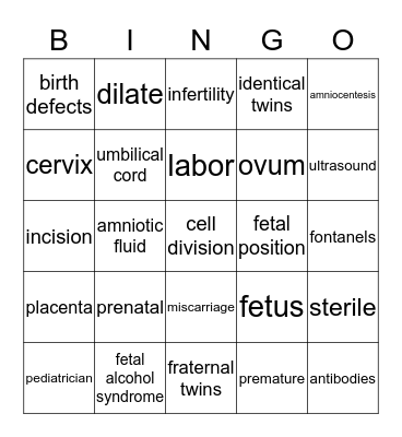 Pregnancy, Labor & Delivery Bingo Card