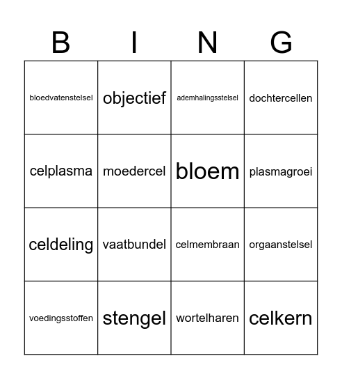 Organen en cellen klas 1BB Bingo Card