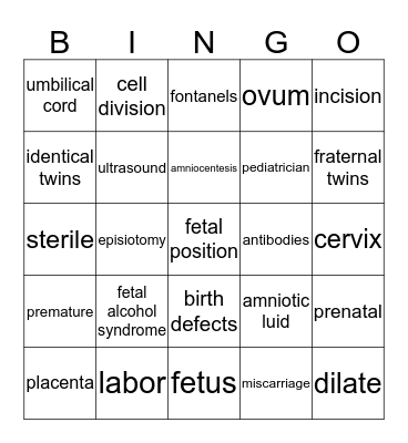 Pregnancy, Labor & Delivery Bingo Card