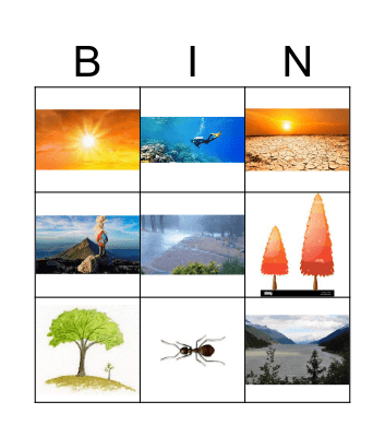 Food Picture Bingo Card