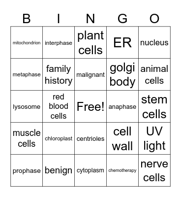 Cells, Cell division, Cancer, specialized cells, stem cells Bingo Card