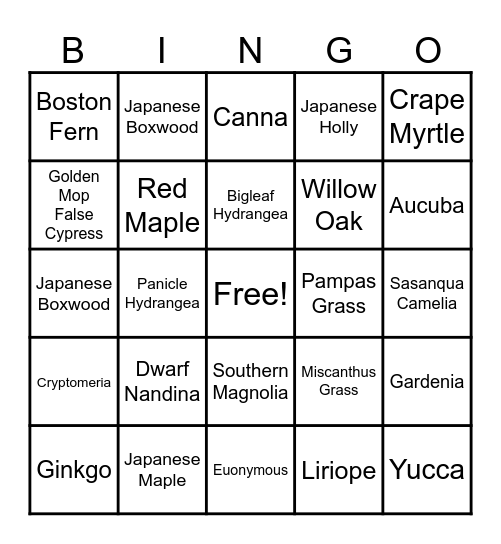 Drive By BINGO Card