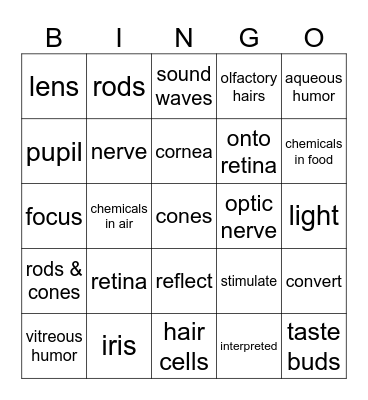 The Eye Bingo Card