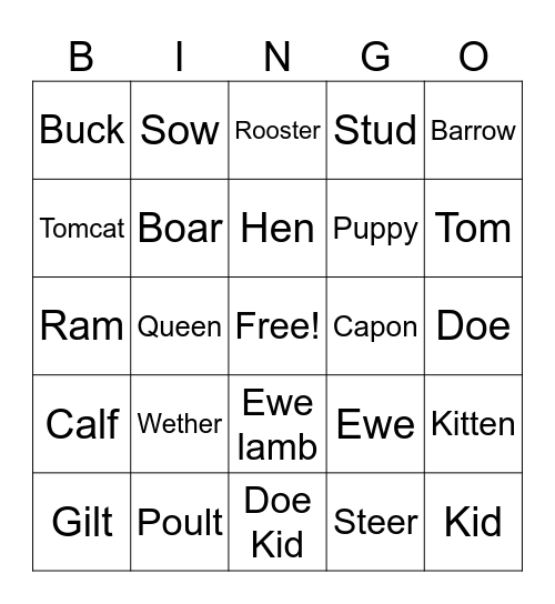 Livestock Terms Bingo Card