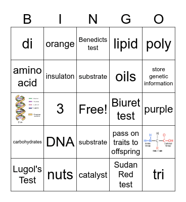Gilchrist Nutrient Bingo Card