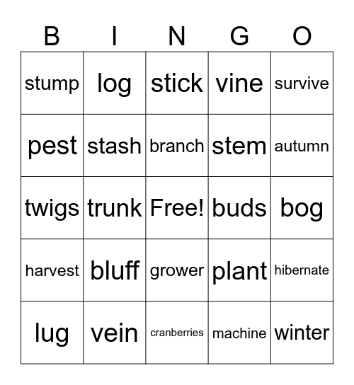 Geodes Fall Bingo Card