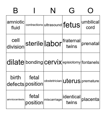 Pregnancy, Labor & Delivery Bingo Card