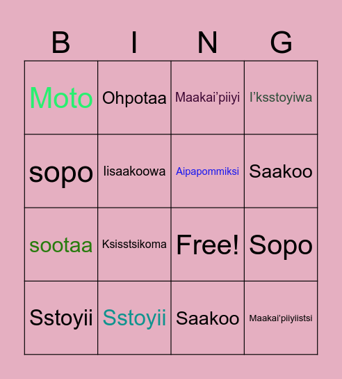 Blackfoot Seasons/Weather Bingo Card