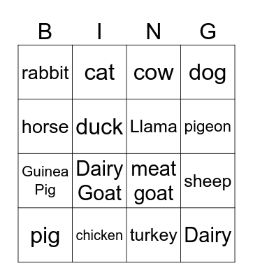 Animal Bingo Card