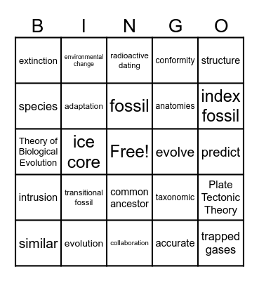 Evolution Vocabulary Bingo Card