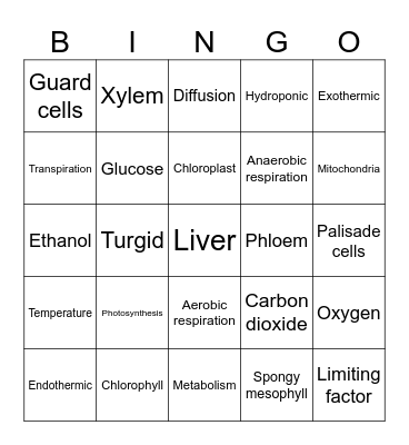 Miss Webb's Bioenergetics Bingo Card