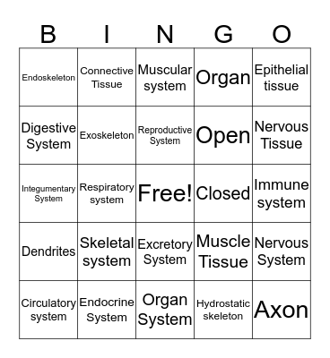 Systems and Tissues Bingo Card