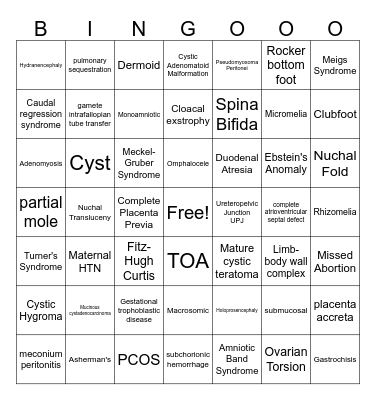 DMSG 415 Final Exam Bingo Card