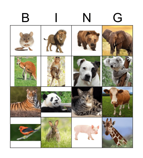 Animal Bingo Card