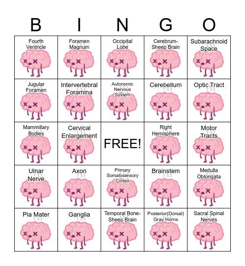 Brain & Spinal Cord! Card #6 Bingo Card