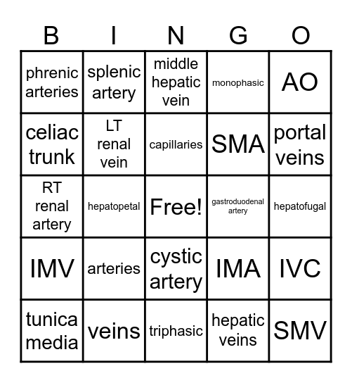 abdominal vasculature Bingo Card