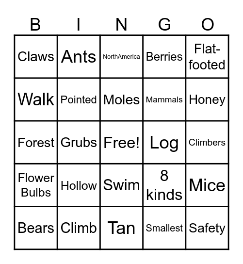 Black Bear Bingo Card