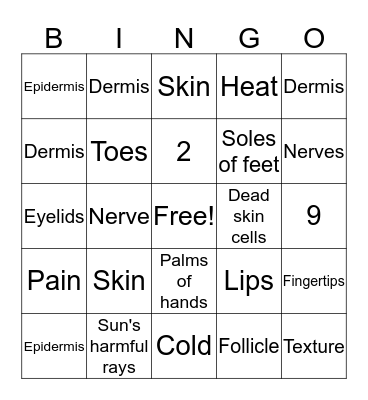 The Human Body: SKIN Bingo Card