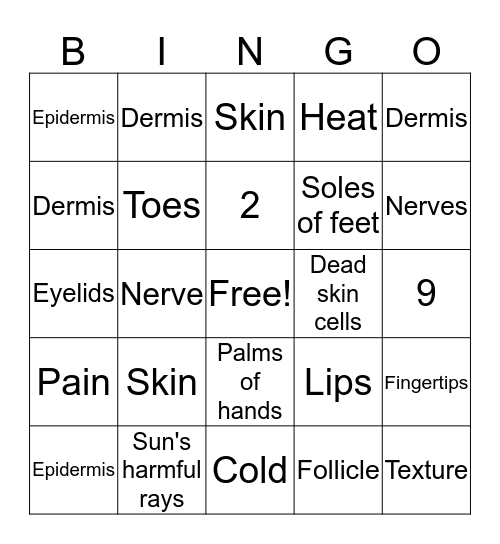 The Human Body: SKIN Bingo Card