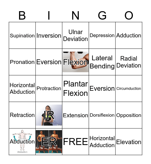 Kinesiology Bingo  Bingo Card