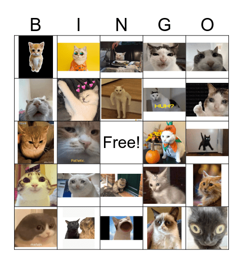 Important Cat Images Bingo Card