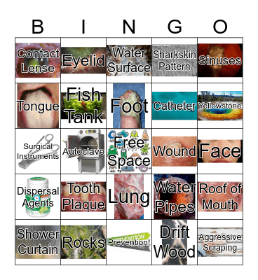 Biofilm Bingo Card