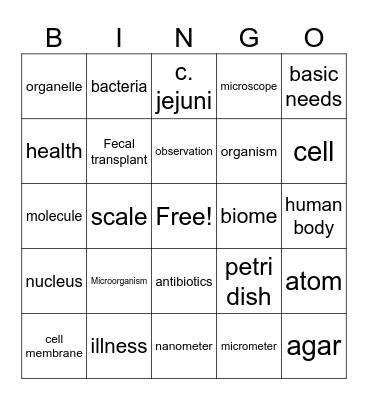 Vocabulary Bingo Card