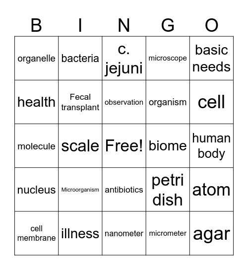 Vocabulary Bingo Card