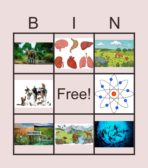 CIENCIAS Bingo Card