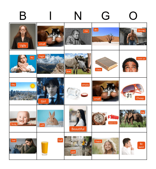 Opposites Review Bingo Card
