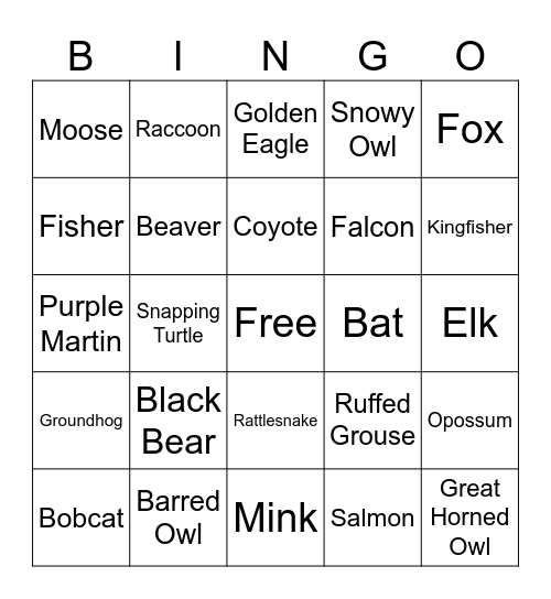 2024 Wildlife Photography Bingo Card