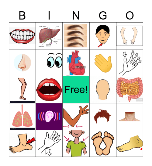 Partes del Cuerpo Bingo Card