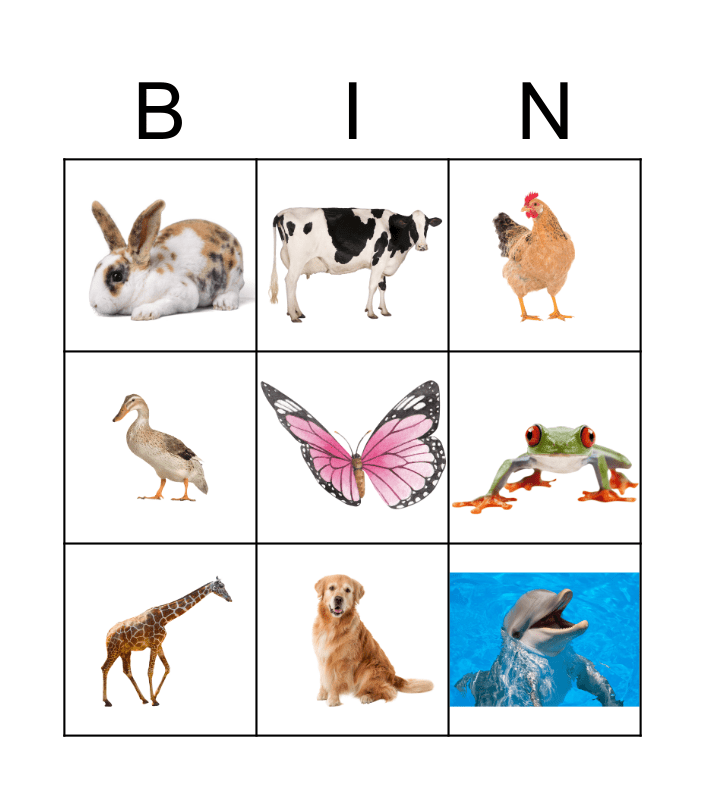 Animales Bingo Card