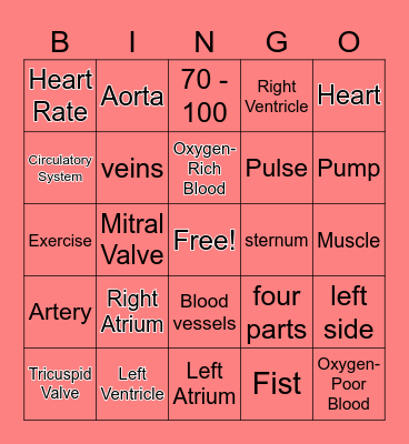 The Human Heart Bingo Card