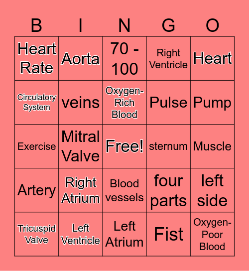 The Human Heart Bingo Card