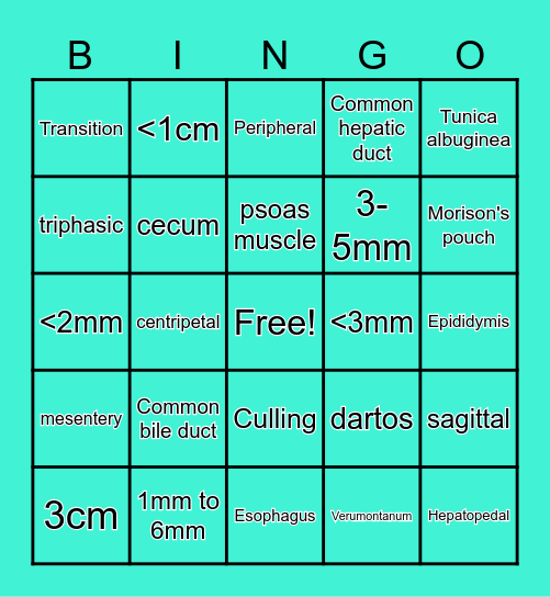 DMS 102 Final Review Bingo Card