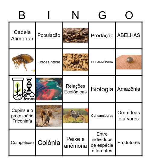 Relações Ecológicas Bingo Card