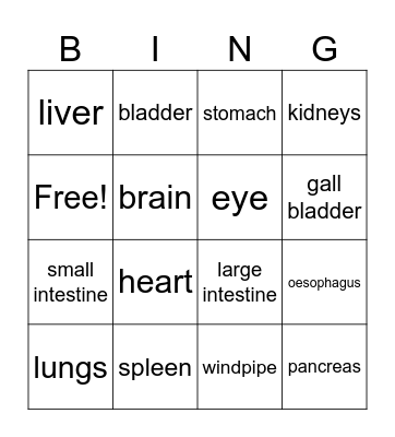 Organ BINGO Card