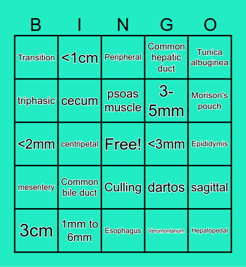 DMS 102 Final Review Bingo Card