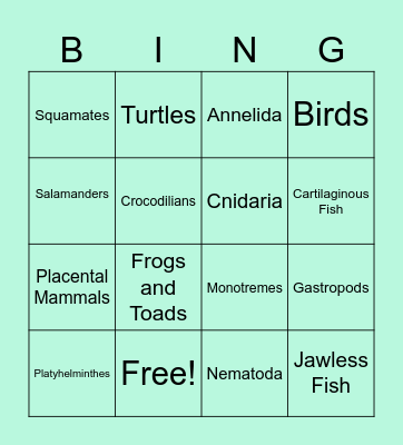 Animal Phylum Bingo Card