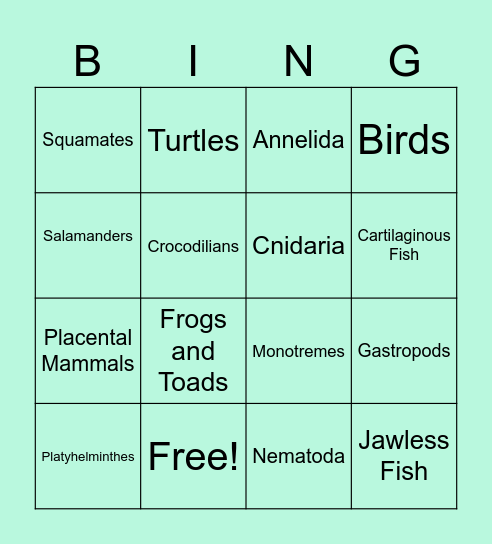 Animal Phylum Bingo Card