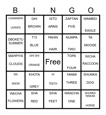Dakota Bingo Card