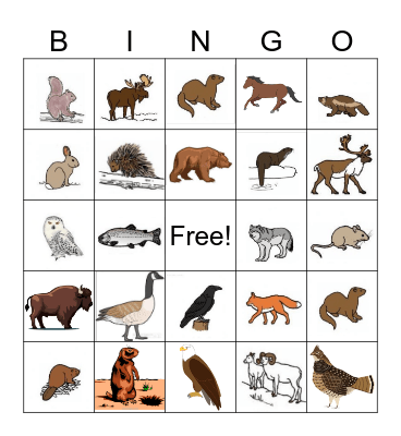 Animal Bingo Card