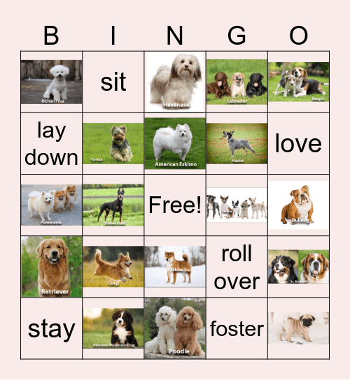 Dogs Bingo Card