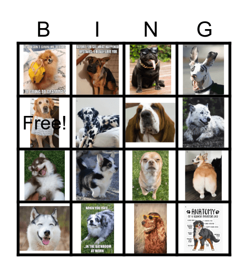 Dog BINGO Card