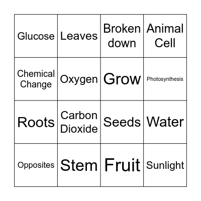 Photosynthesis and Cellular Respiration Bingo Card