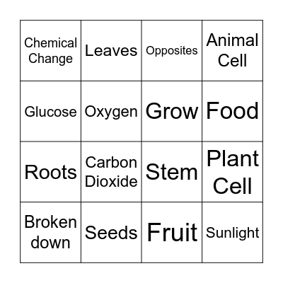 Photosynthesis and Cellular Respiration Bingo Card