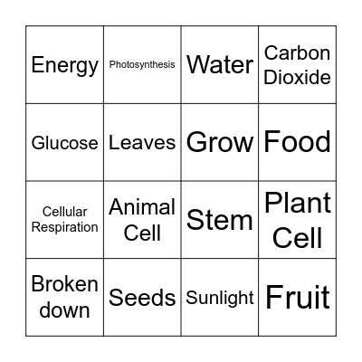Photosynthesis and Cellular Respiration Bingo Card