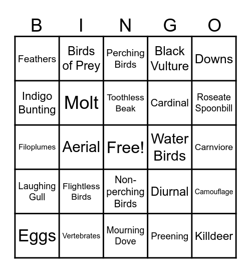Bird Vocabulary Bingo Card