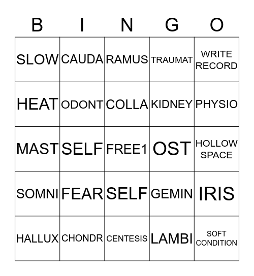 MED TERM Bingo Card